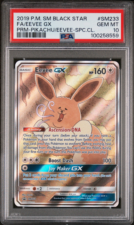 Fa/Eevee Gx 2019 P.M. SM Black Star #SM233 PRM-Pikachu/Eevee-Special Collection